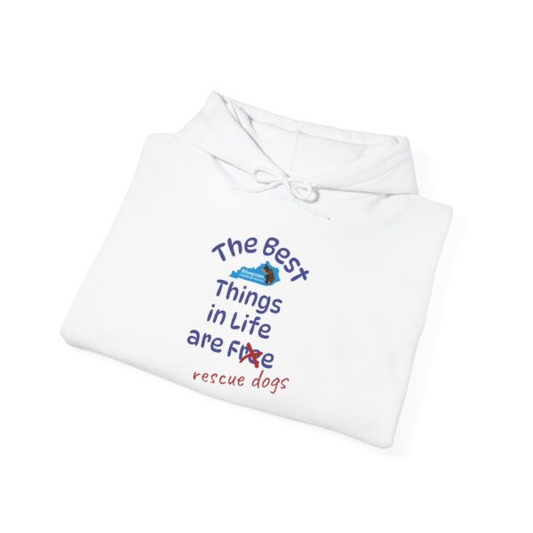 Bluegrass Doberman Rescue Best Things Hoodie - Image 4