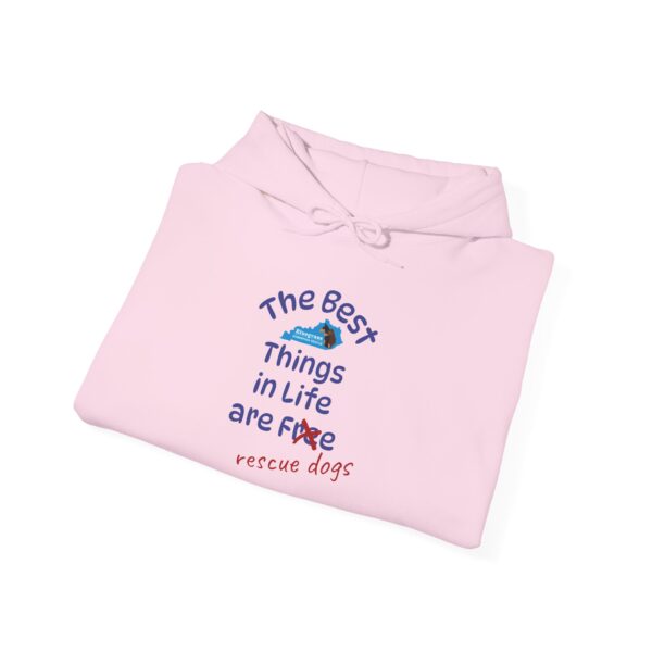 Bluegrass Doberman Rescue Best Things Hoodie - Image 28