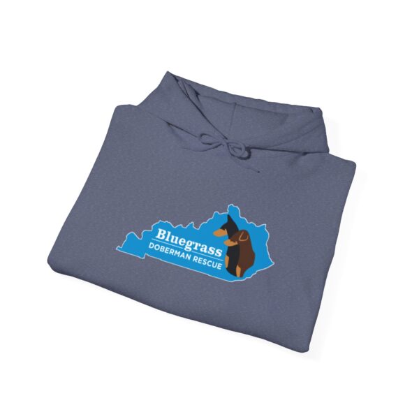 Bluegrass Doberman Rescue Logo Hoodie - Image 30