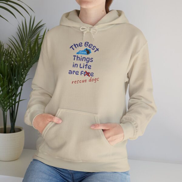 Bluegrass Doberman Rescue Best Things Hoodie - Image 17