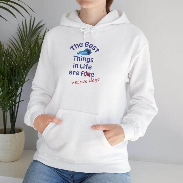 Bluegrass Doberman Rescue Best Things Hoodie - Image 5