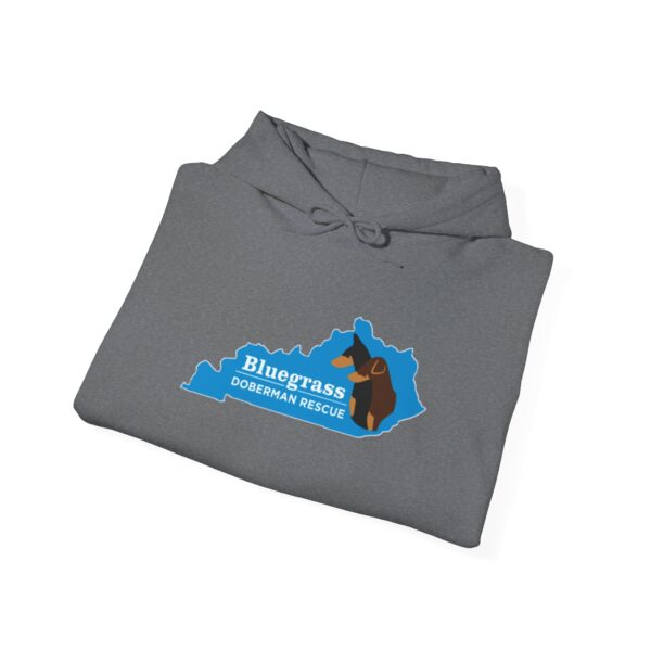 Bluegrass Doberman Rescue Logo Hoodie - Image 18