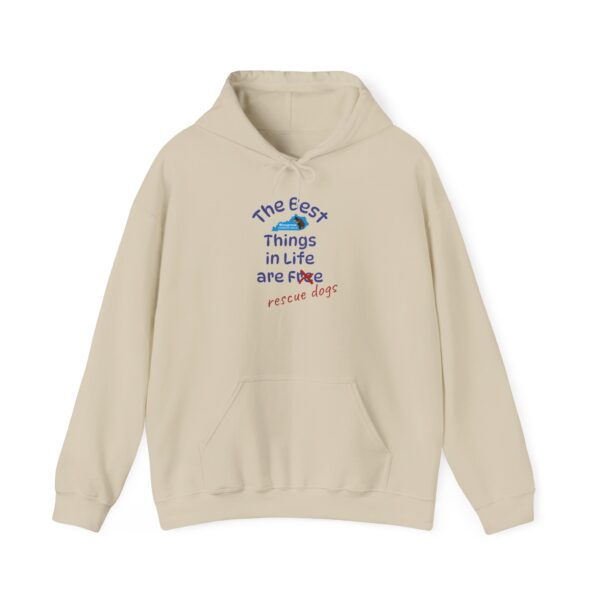 Bluegrass Doberman Rescue Best Things Hoodie - Image 13