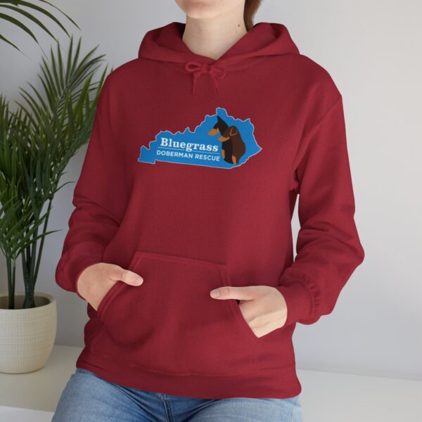 Bluegrass Doberman Rescue Logo Hoodie - Image 39