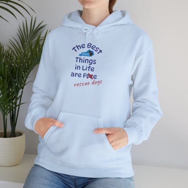 Bluegrass Doberman Rescue Best Things Hoodie - Image 23