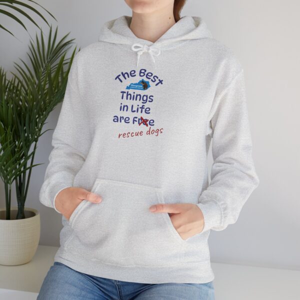 Bluegrass Doberman Rescue Best Things Hoodie - Image 11