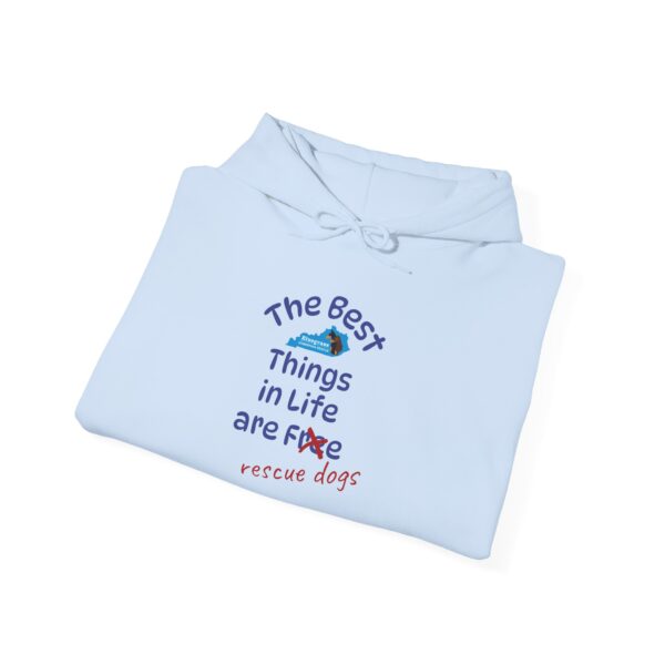 Bluegrass Doberman Rescue Best Things Hoodie - Image 22