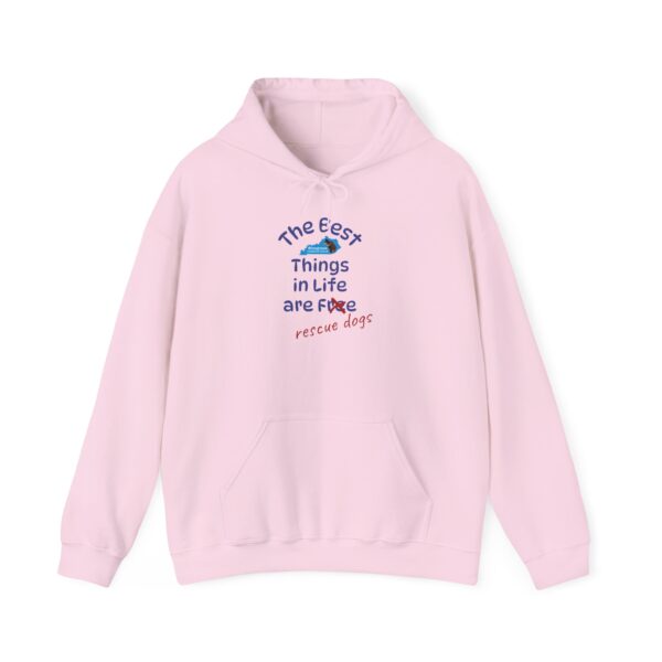 Bluegrass Doberman Rescue Best Things Hoodie - Image 25