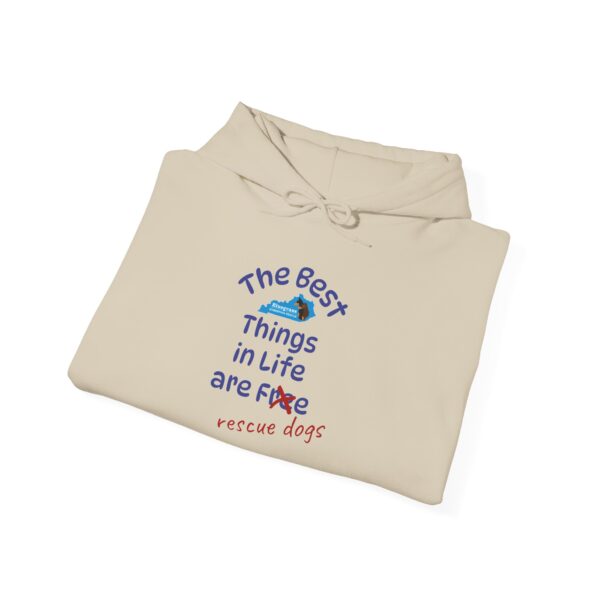 Bluegrass Doberman Rescue Best Things Hoodie - Image 16