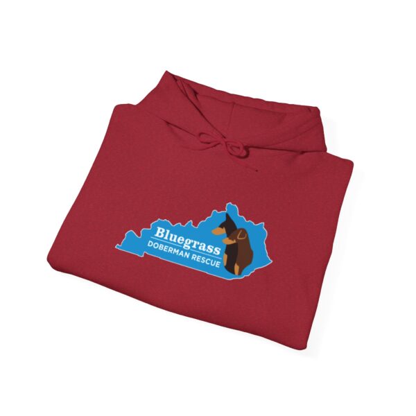 Bluegrass Doberman Rescue Logo Hoodie - Image 38