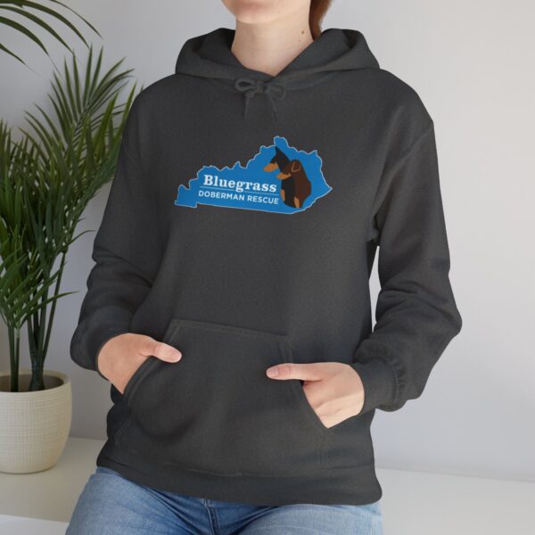 Bluegrass Doberman Rescue Logo Hoodie - Image 3