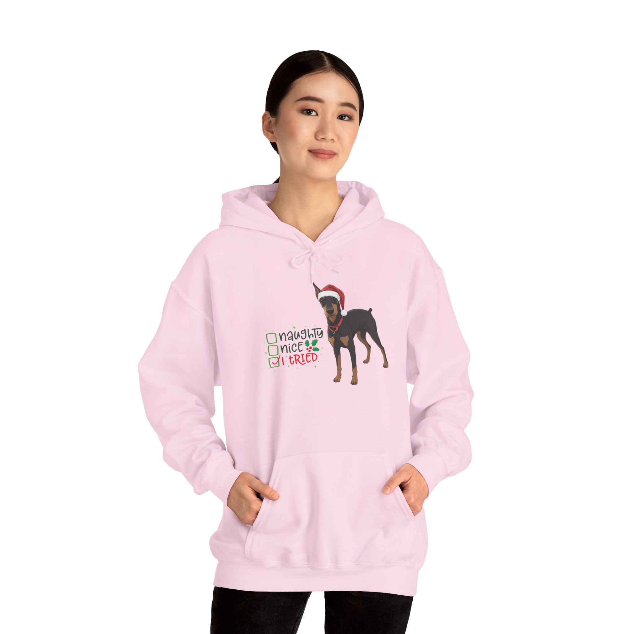Bluegrass Doberman Rescue I Tried Christmas Hoodie - Image 18