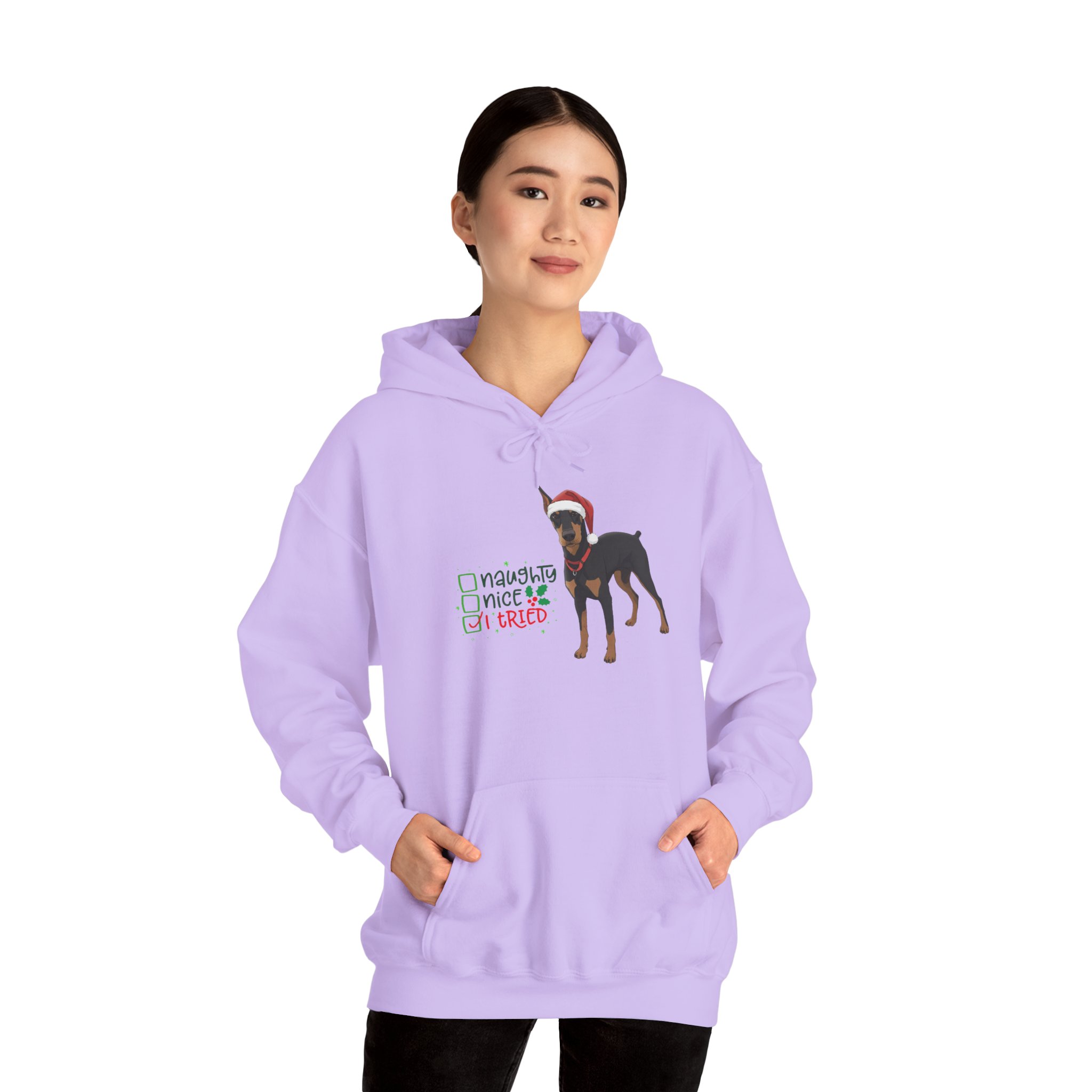 Bluegrass Doberman Rescue I Tried Christmas Hoodie - Image 15