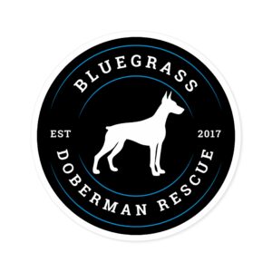 Round Stickers, IndoorOutdoor