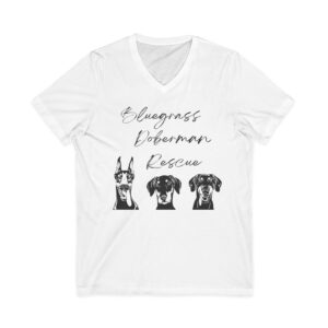 Unisex Jersey Short Sleeve V-Neck Tee