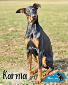 Karma