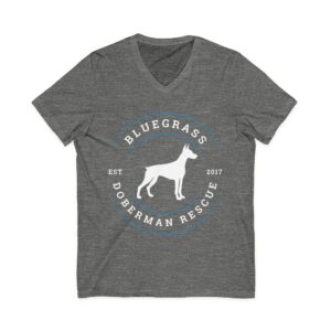 Unisex Jersey Short Sleeve V-Neck Tee