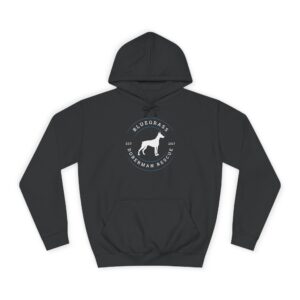 Unisex BDR Hoodie