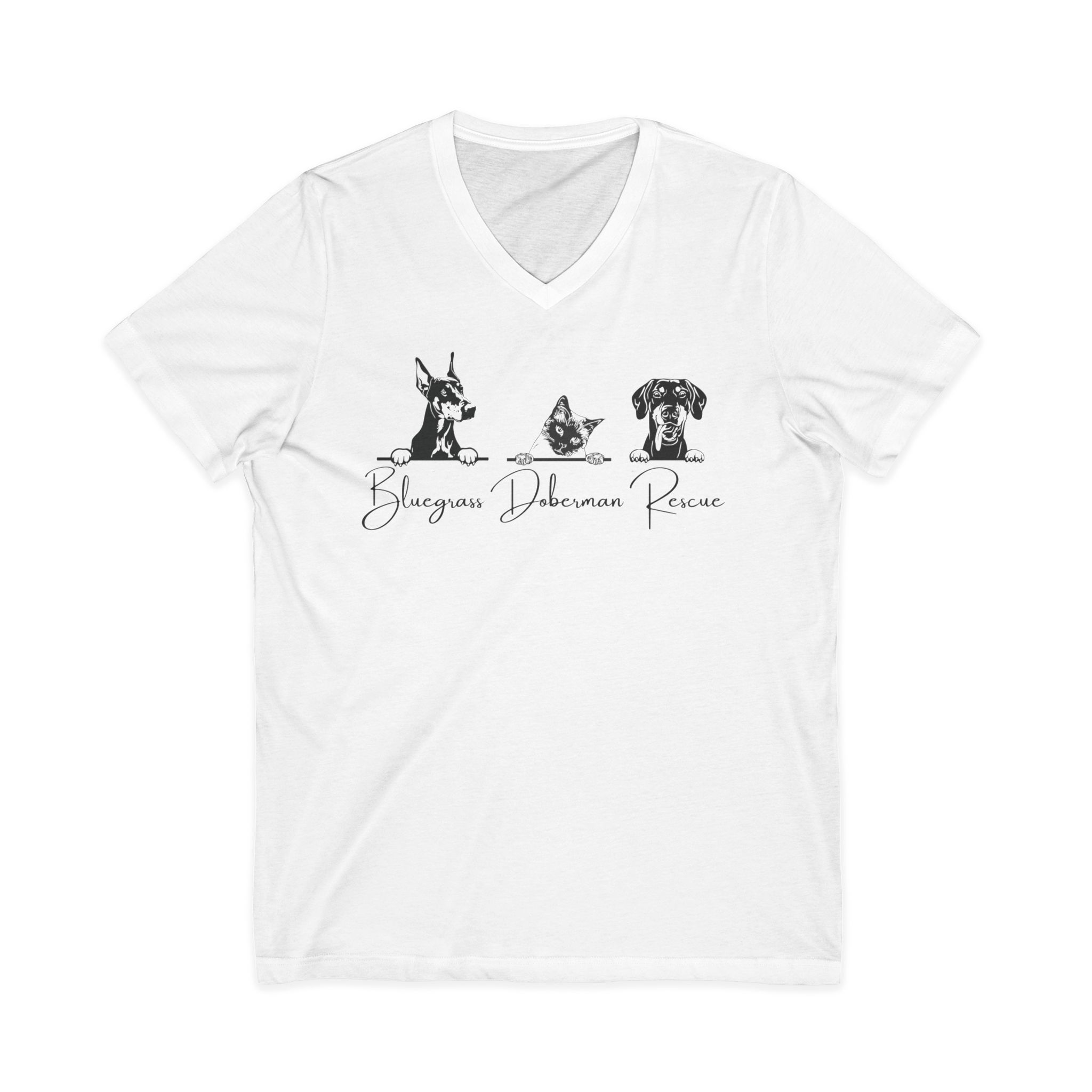 Unisex Jersey Short Sleeve V-Neck Tee
