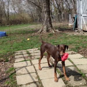 Maker:0x4c,Date:2017-12-13,Ver:4,Lens:Kan03,Act:Lar01,E-Y