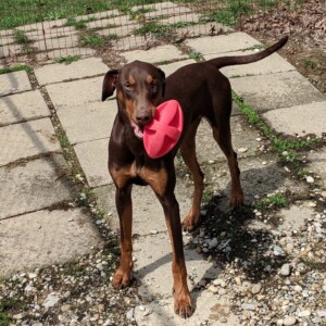 Maker:0x4c,Date:2017-12-13,Ver:4,Lens:Kan03,Act:Lar01,E-Y