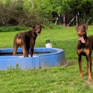 Maker:0x4c,Date:2017-12-13,Ver:4,Lens:Kan03,Act:Lar01,E-Y