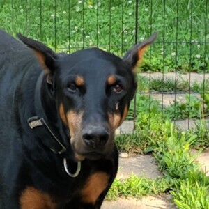 Maker:0x4c,Date:2017-12-13,Ver:4,Lens:Kan03,Act:Lar01,E-Y