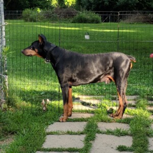 Maker:0x4c,Date:2017-12-13,Ver:4,Lens:Kan03,Act:Lar01,E-Y