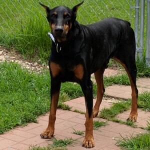 Maker:0x4c,Date:2017-12-13,Ver:4,Lens:Kan03,Act:Lar01,E-Y