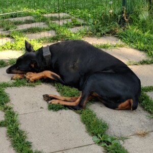 Maker:0x4c,Date:2017-12-13,Ver:4,Lens:Kan03,Act:Lar01,E-Y