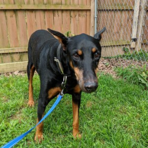 Maker:0x4c,Date:2017-12-13,Ver:4,Lens:Kan03,Act:Lar01,E-Y